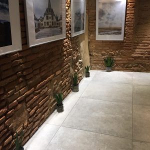 renovation toulouse sanitaire effet ciment balma