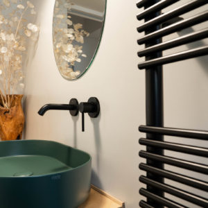 realisation architecte intérieur décoration fantini cielo vasque rénovation deco toulouse sanitaire carrelage miroir