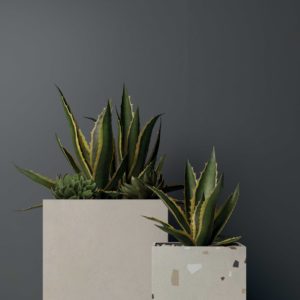 grand format xxl carrelage beton uni architecte decoration toulouse sanitaire terrazzo design balma l'union douche