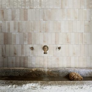 decoration ragno 3D architecte original carrelage salle de bain salle d'eau douche sanitaire mural lmcs balma labege rénovation