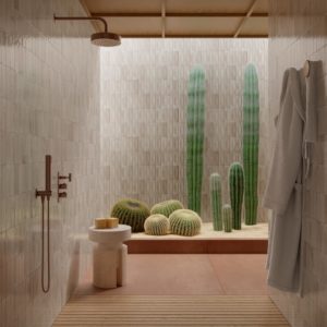 decoration ragno 3D architecte original carrelage salle de bain salle d'eau douche sanitaire mural lmcs balma labege rénovation