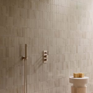 decoration ragno 3D architecte original carrelage salle de bain salle d'eau douche sanitaire mural lmcs balma labege rénovation