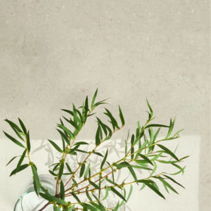 carrelage decoration 41 zero 42 balma architecte design sanitaire douche