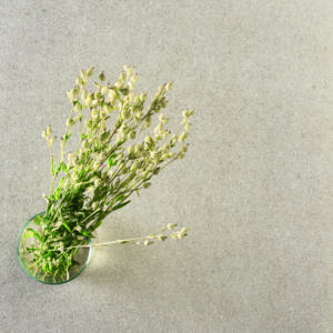 carrelage decoration 41 zero 42 balma architecte design sanitaire douche