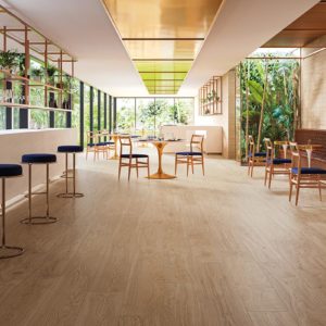 Tabacco carrelage effet bois decoration balma architecte sanitaire lmcs